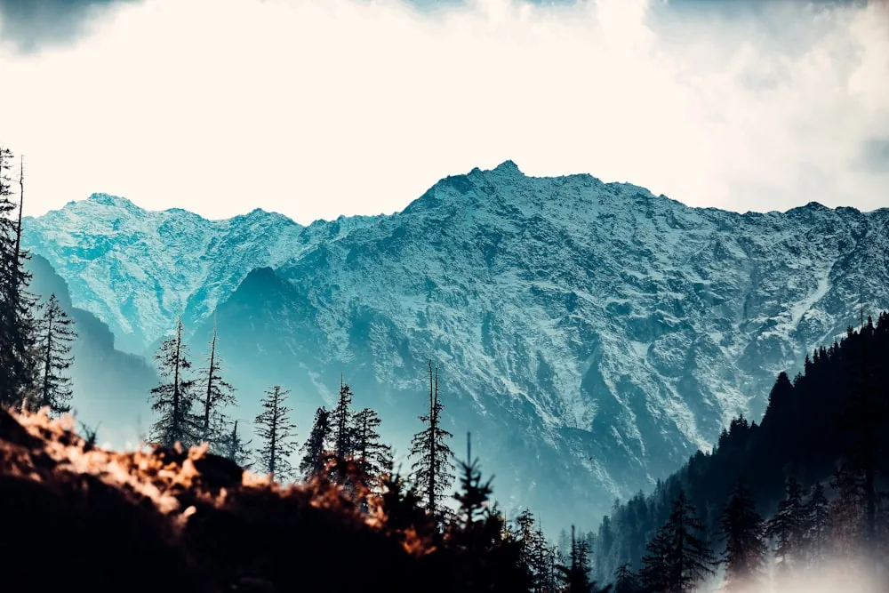 Himachal Explorer with Kasol